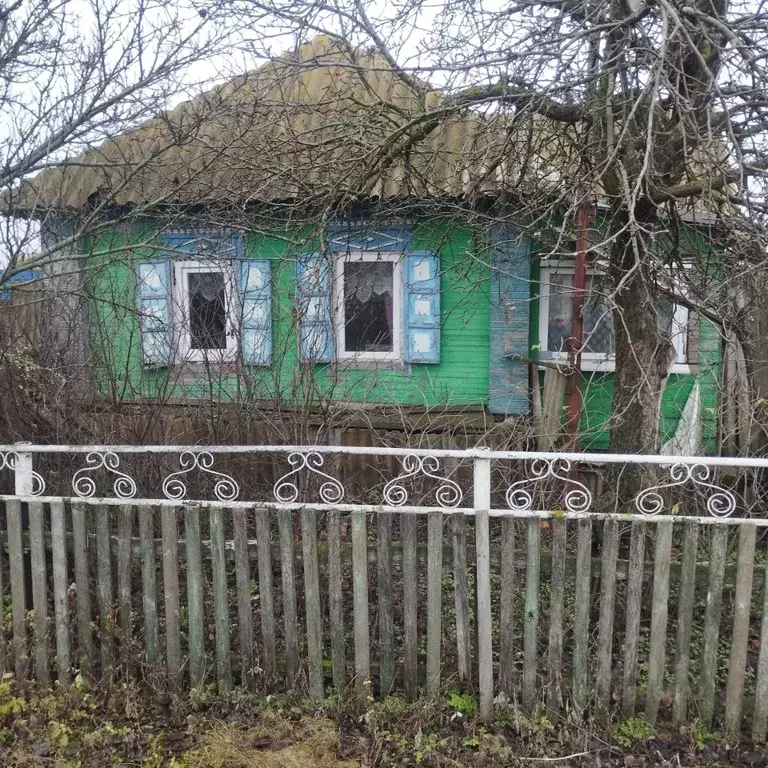 Дом в Воронежская область, Бутурлиновский район, Колодеевское с/пос, ... - Фото 1