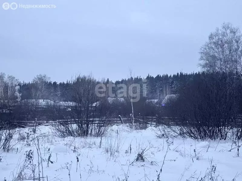 Участок в Курганская область, Каргапольский муниципальный округ, ... - Фото 2