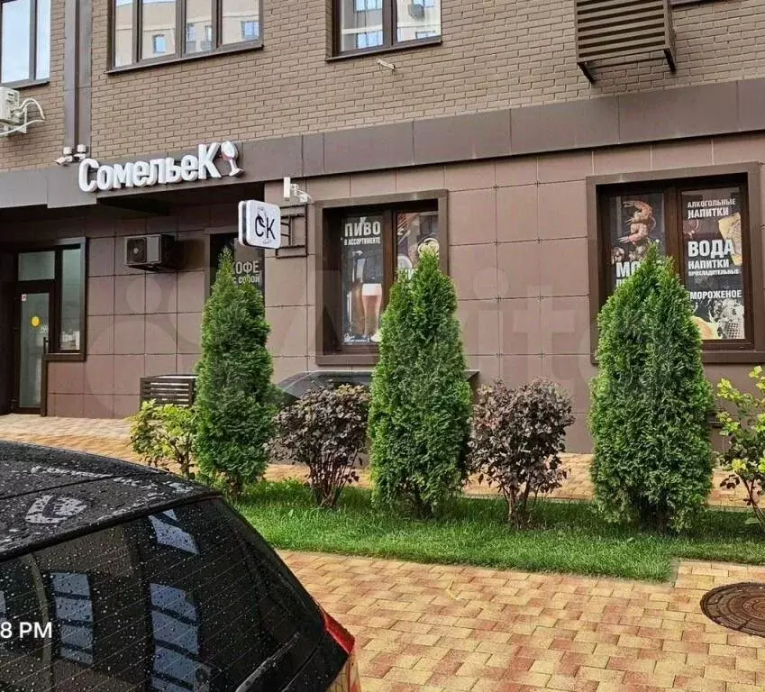 Офис в Краснодарский край, Краснодар ул. Скандинавская, 1к2 (57 м) - Фото 2