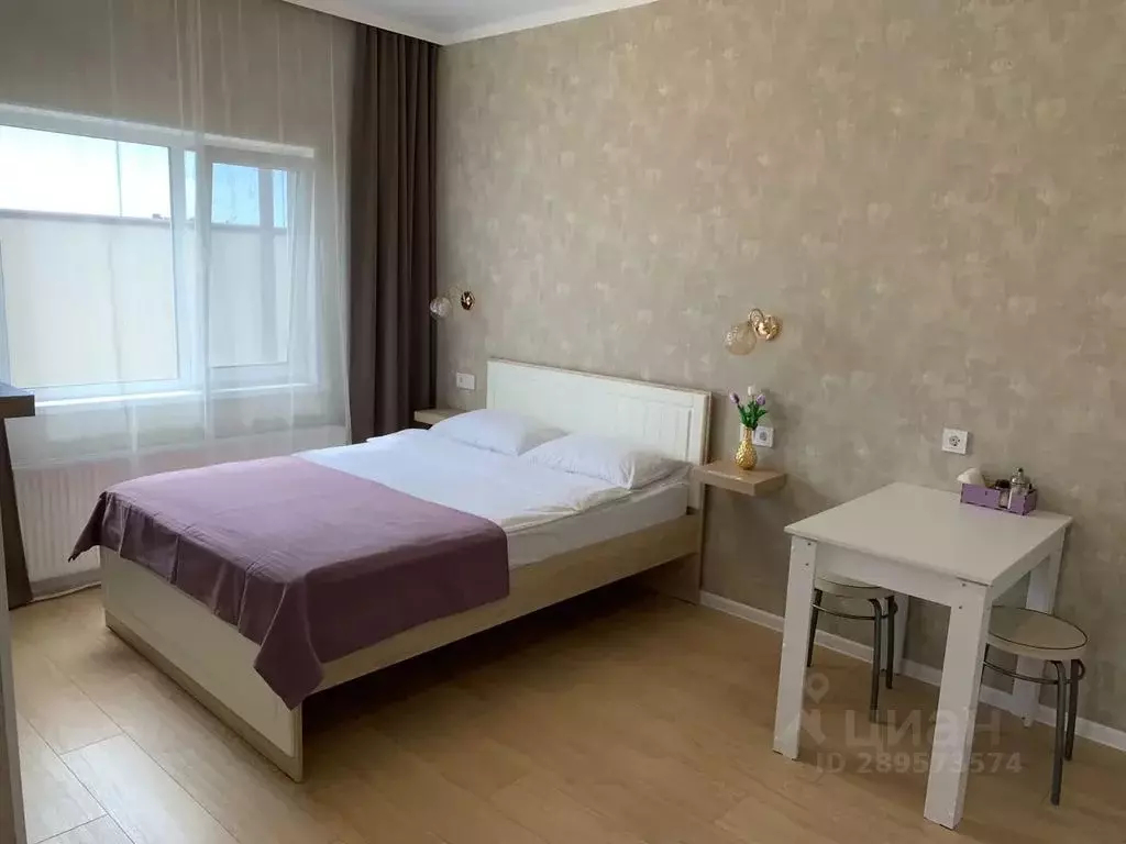 Студия Калмыкия, Элиста 10-й мкр, 125 (24.0 м) - Фото 2