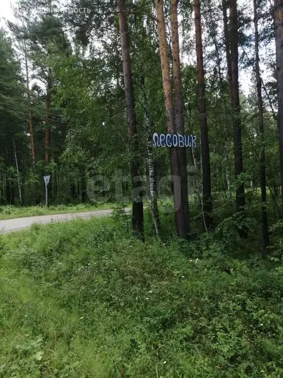 Участок в Иркутский муниципальный округ, СНТ Лесовик (8.5 м) - Фото 1