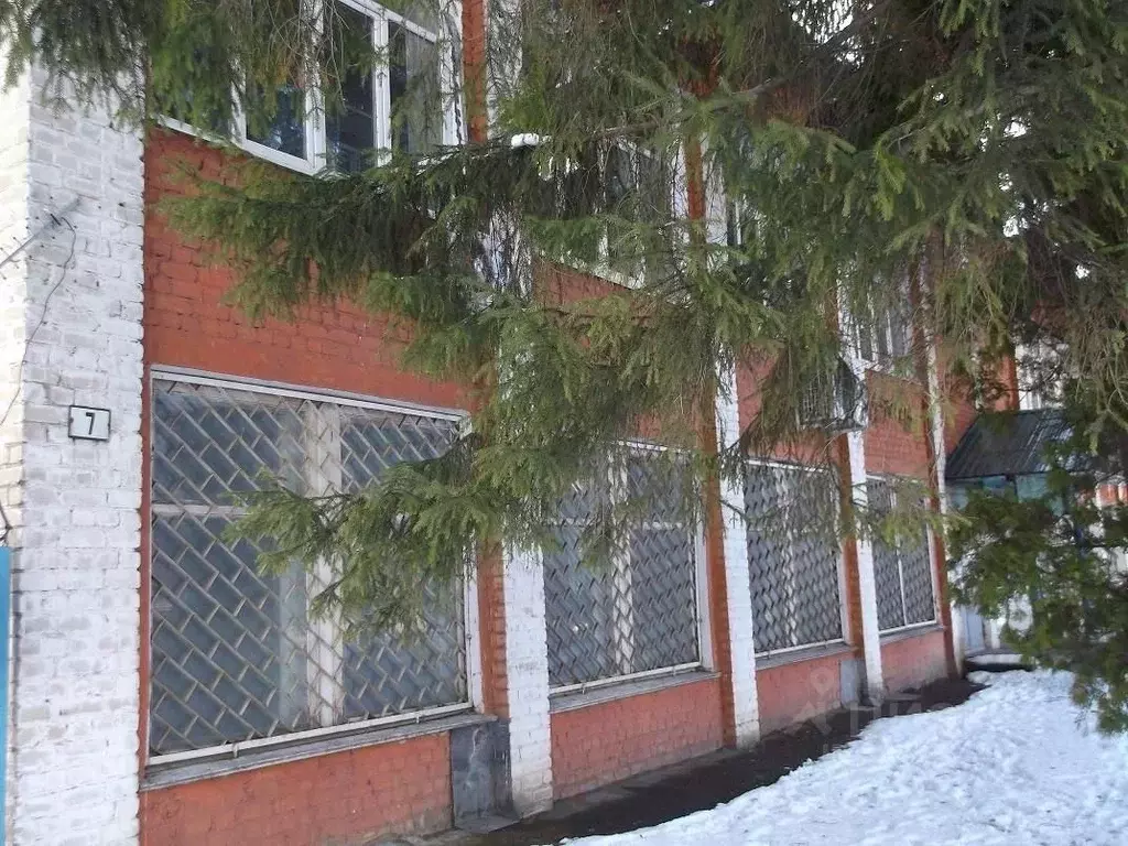 Помещение свободного назначения в Орловская область, Верховье пгт ул. ... - Фото 2