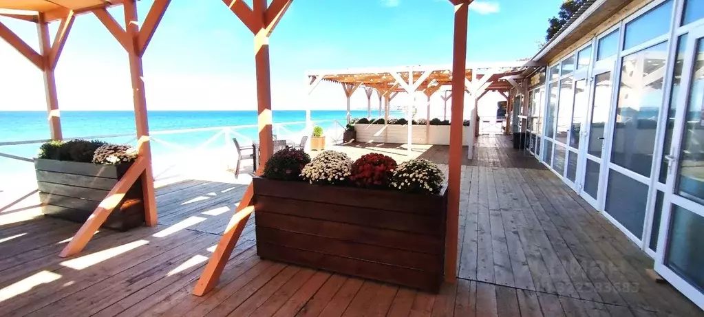 1-к кв. Севастополь ул. Челюскинцев, 57/3 (45.0 м) - Фото 1