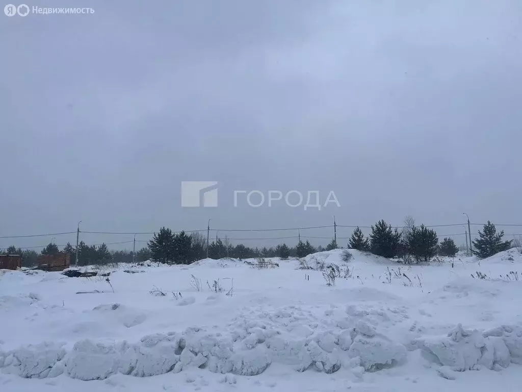 Участок в Октябрьский, Сибирская улица, 20 (9 м) - Фото 2