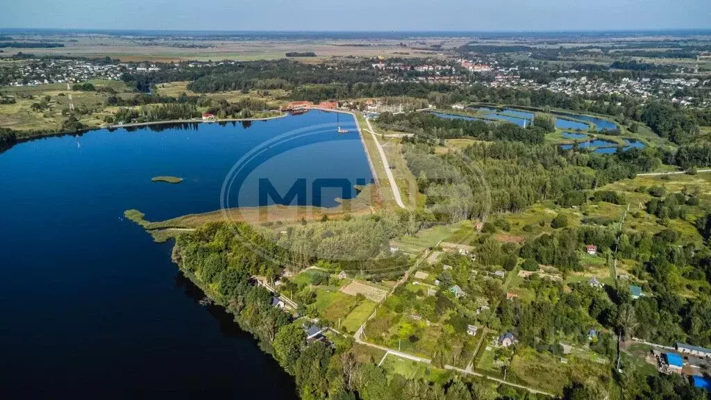 Участок в Калининградская область, Правдинск  (8.0 сот.) - Фото 1