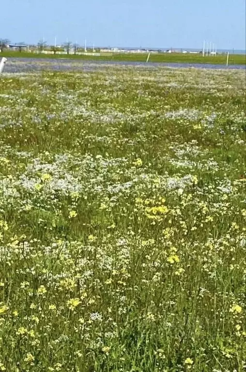 Участок в Крым, Сакский район, с. Штормовое  (6.0 сот.) - Фото 2