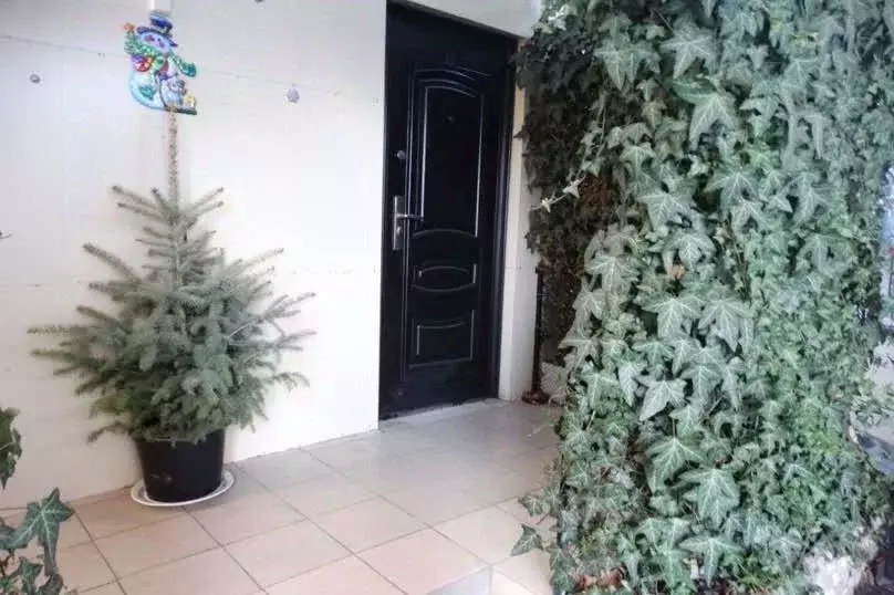 1-к кв. Ставропольский край, Кисловодск ул. Кирова, 36/2 (22.0 м) - Фото 1