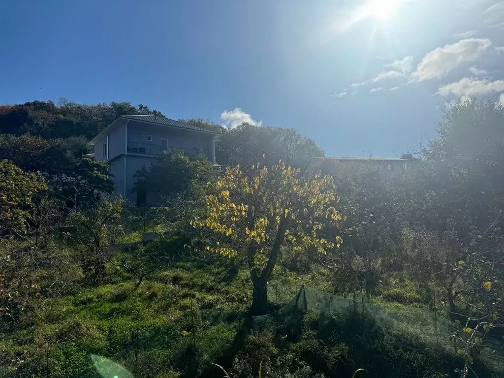 Участок в Краснодарский край, Сочи городской округ, с. Верхнее Учдере ... - Фото 1