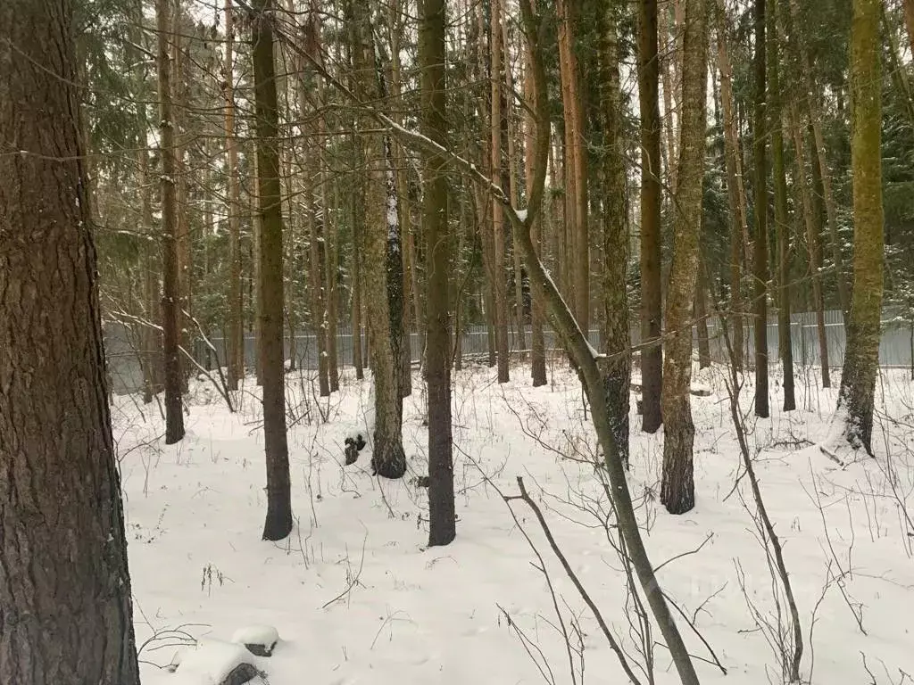 Участок в Московская область, Раменский городской округ, пос. Гжелка ... - Фото 1