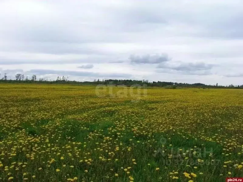 Участок в Ярославская область, Рыбинский муниципальный округ, д. ... - Фото 1