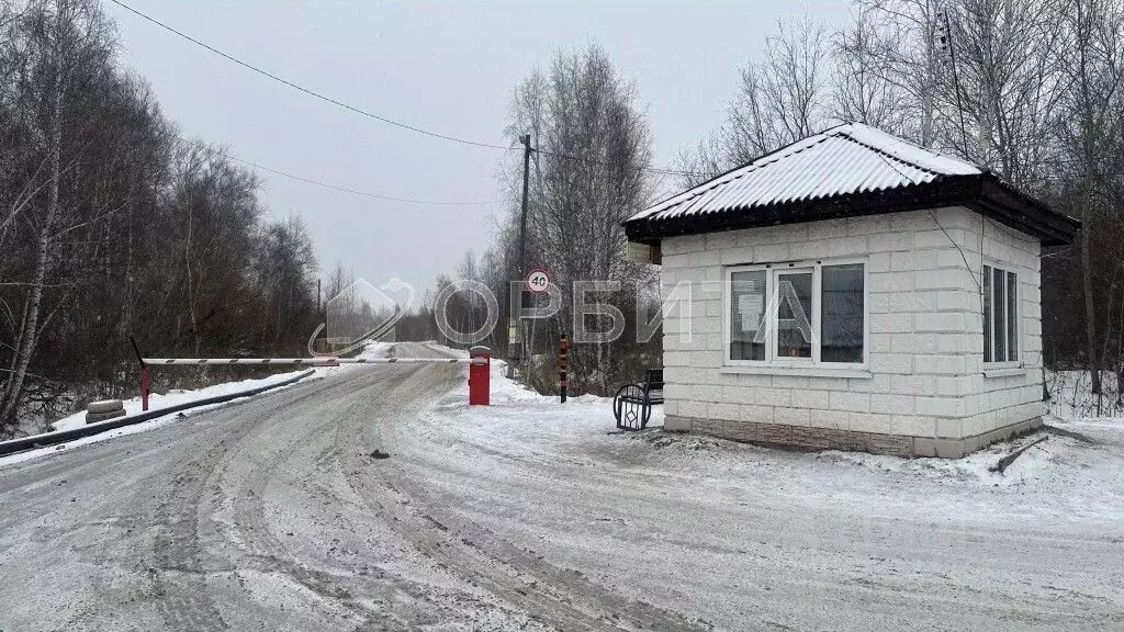 Участок в Тюменская область, Тюмень Лаванда садовое товарищество, ул. ... - Фото 0