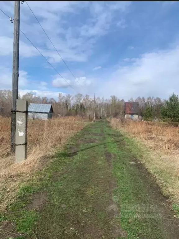 Участок в Алтайский край, Первомайский район, Огоньки СНТ ул. 18-я ... - Фото 1