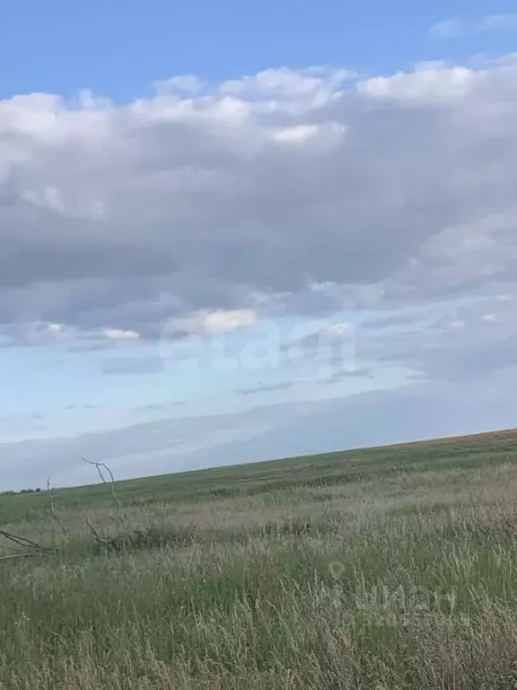 Участок в Калмыкия, Целинный район, с. Троицкое ул. Ойратская (6.0 ... - Фото 1