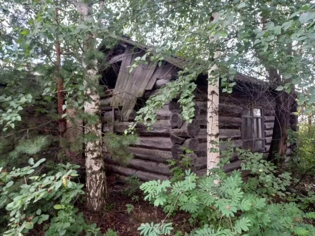 Участок в Свердловская область, Тавда (5.93 м) - Фото 0