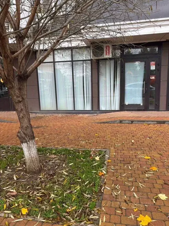 Помещение свободного назначения в Краснодарский край, Краснодар ул. ... - Фото 2