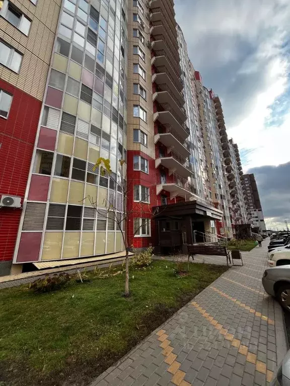 1-к кв. Воронежская область, Новоусманский район, пос. Отрадное ул. ... - Фото 1