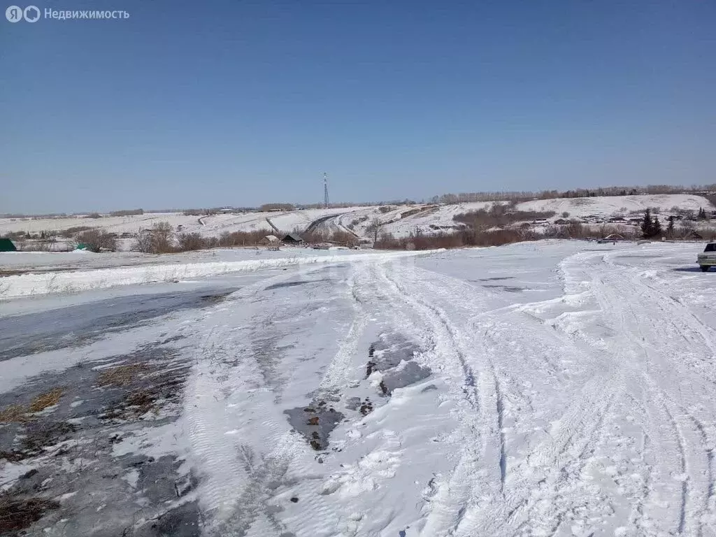 Участок в село Рассказиха, Интернациональная улица (10 м) - Фото 1