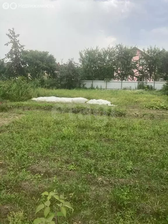 Участок в Калининградская область, Гурьевский муниципальный округ, ... - Фото 2