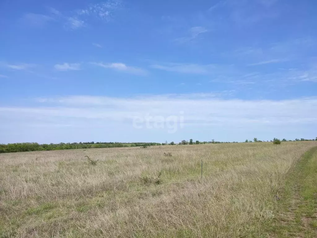 Участок в Крым, Симферопольский район, с. Чистенькое  (146.2 сот.) - Фото 0