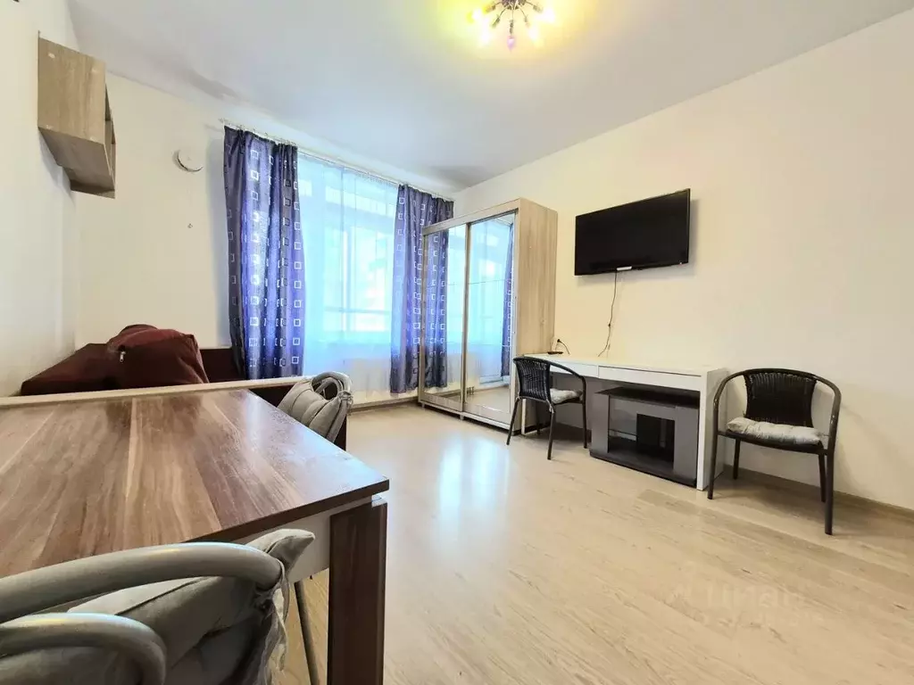 Студия Санкт-Петербург аллея Арцеуловская, 23к1 (26.0 м) - Фото 0