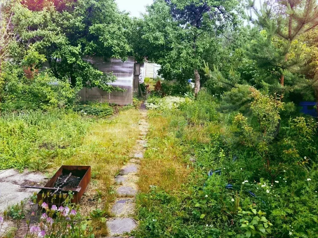 Участок 6,4 сот. (СНТ, ДНП) - Фото 0