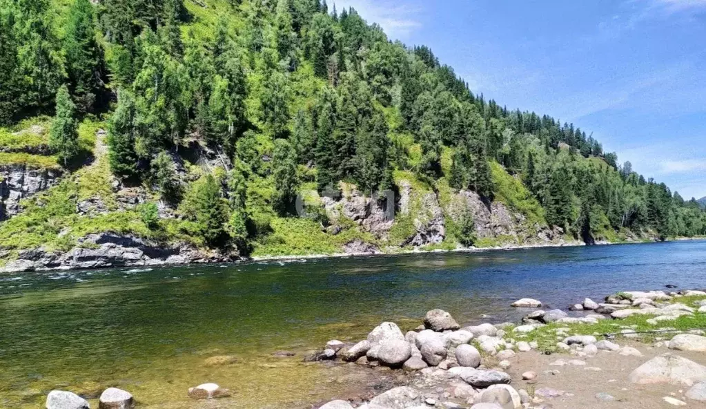 Участок в Алтай, Турочакский район, с. Кебезень Зеленая ул. (23.4 ... - Фото 0