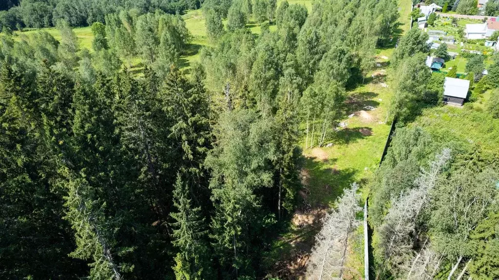 Участок в Московская область, Одинцовский городской округ, д. Супонево ... - Фото 1