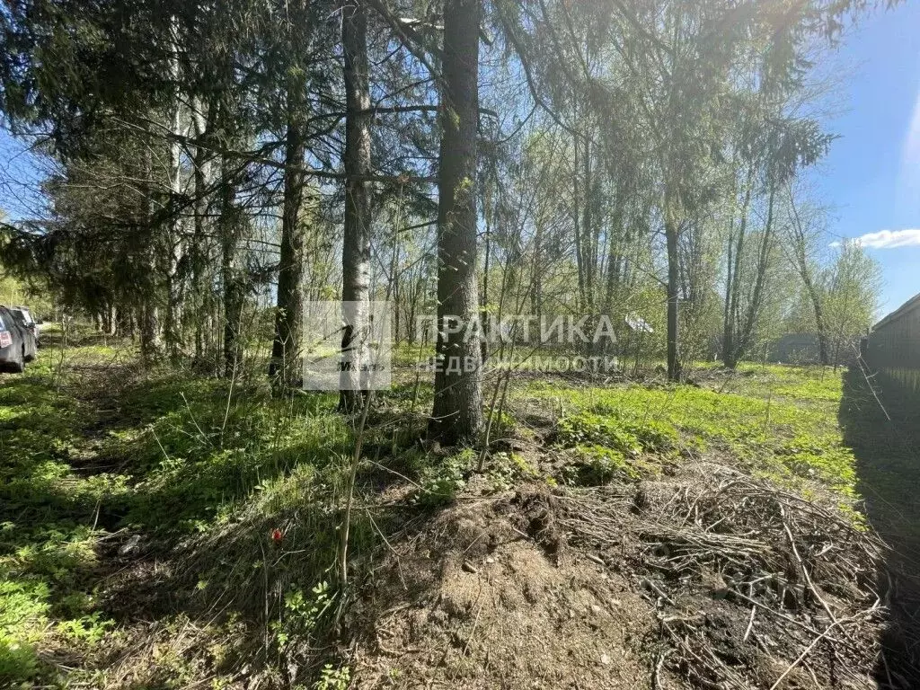 Участок в Московская область, Солнечногорск городской округ, д. ... - Фото 2