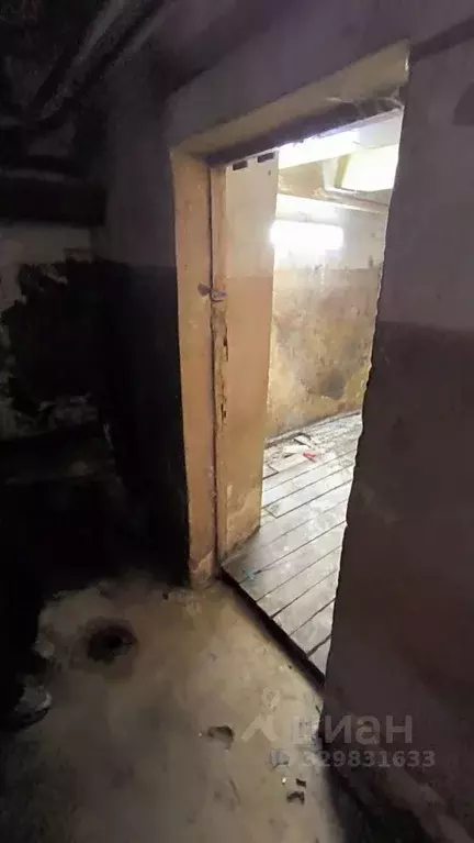 Помещение свободного назначения в Карелия, Петрозаводск просп. Карла ... - Фото 2