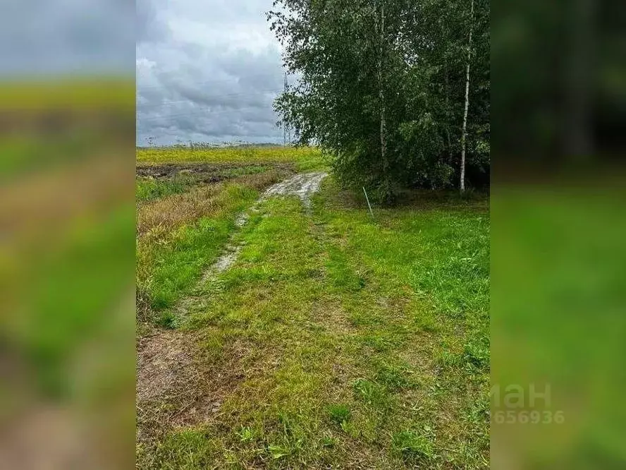 Участок в Московская область, Клин городской округ, д. Темново  (11.0 ... - Фото 1