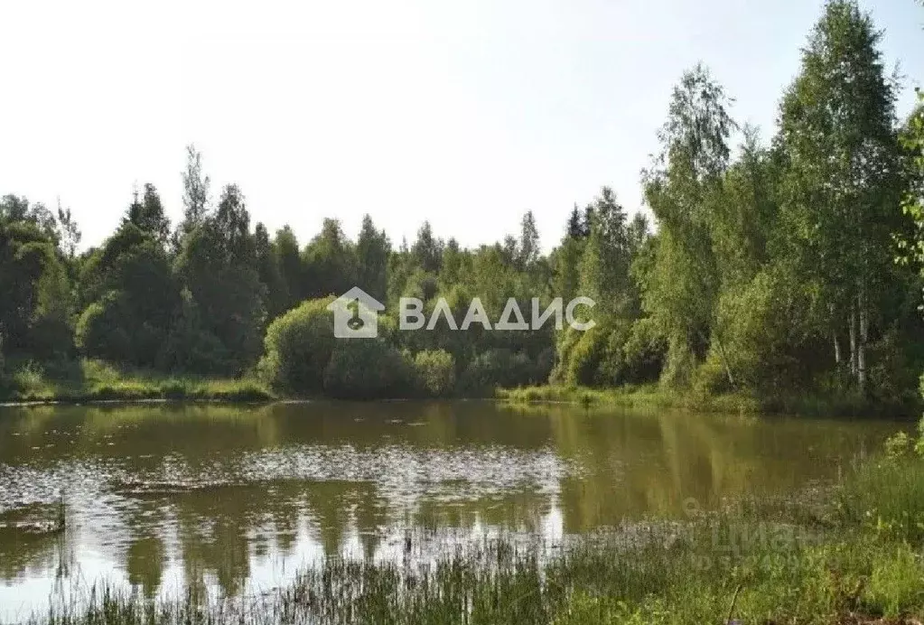 Дом в Пензенская область, Городищенский район, пос. Тумалейка ул. ... - Фото 1