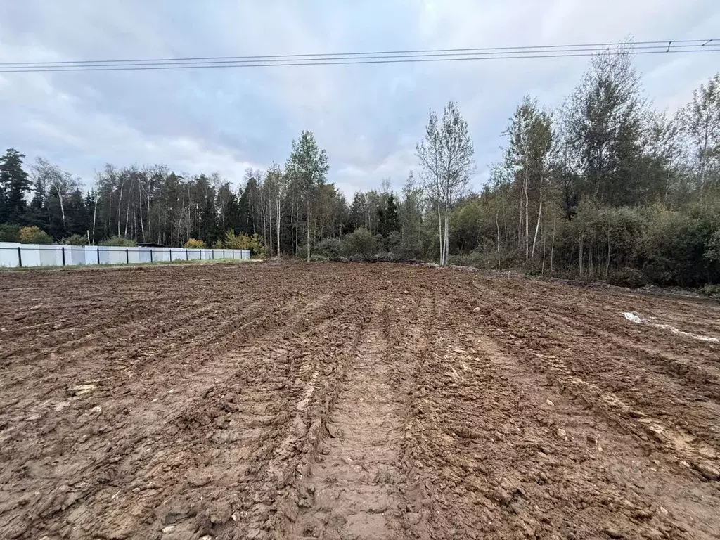 Участок в Московская область, Щелково городской округ, Заозерный СНТ ... - Фото 1