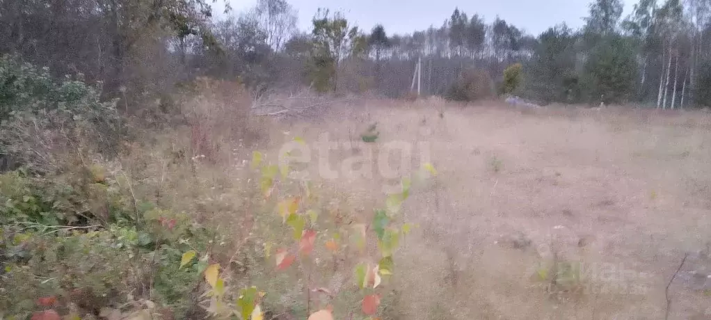 Участок в Псковская область, Порховский муниципальный округ, д. ... - Фото 1