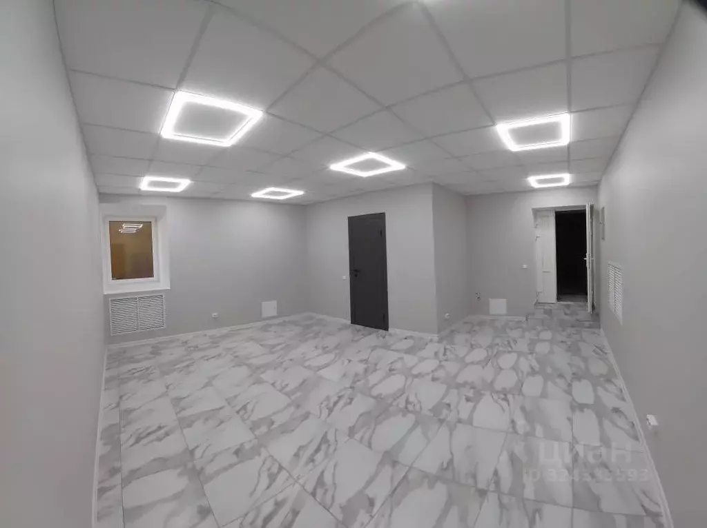 Помещение свободного назначения в Санкт-Петербург Угловой пер., 7 (42 ... - Фото 2