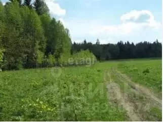 Участок в Пермский край, Пермский муниципальный округ, д. Чуваки  ... - Фото 1