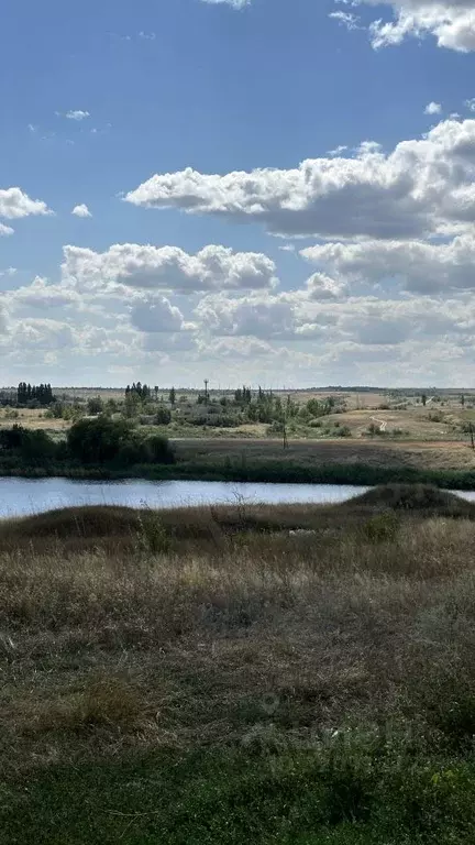 Участок в Волгоградская область, Дубовский район, Пичужинское с/пос, ... - Фото 2