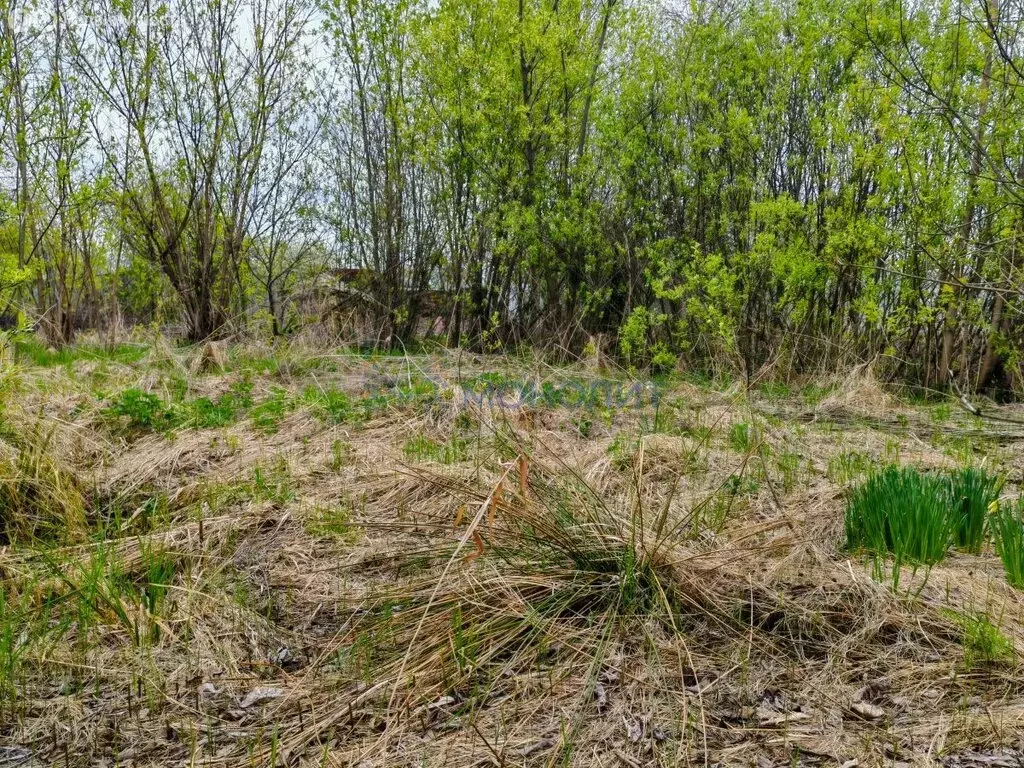 Участок в Нижний Новгород, СНТ Сокол (2.6 м) - Фото 1