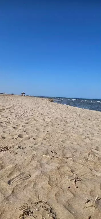 Участок 4 сот. (СНТ, ДНП) - Фото 1