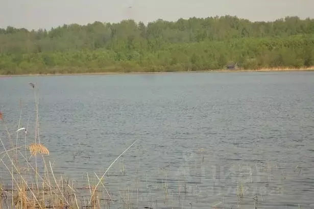 Участок в Псковская область, Плюсский муниципальный округ, д. Ктины  ... - Фото 1