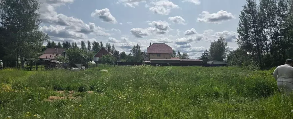 Участок в Московская область, Солнечногорск городской округ, д. Новое  ... - Фото 1