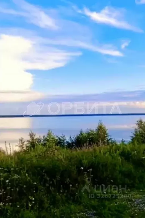 Участок в Тюменская область, Ялуторовский муниципальный округ, с. ... - Фото 1