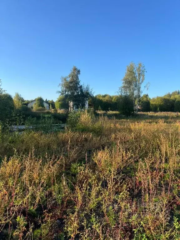 Участок в Московская область, Дмитровский муниципальный округ, Новая ... - Фото 2