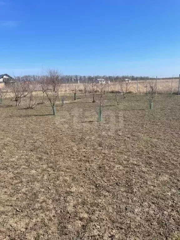 Участок в Адыгея, Тахтамукайский район, Козет аул  (40.0 сот.) - Фото 1