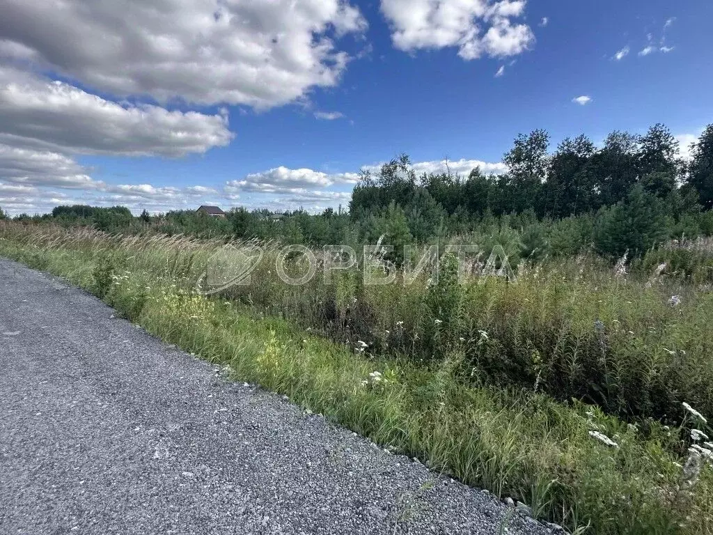 Участок в Тюменская область, Тюменский муниципальный округ, с. Каменка ... - Фото 2