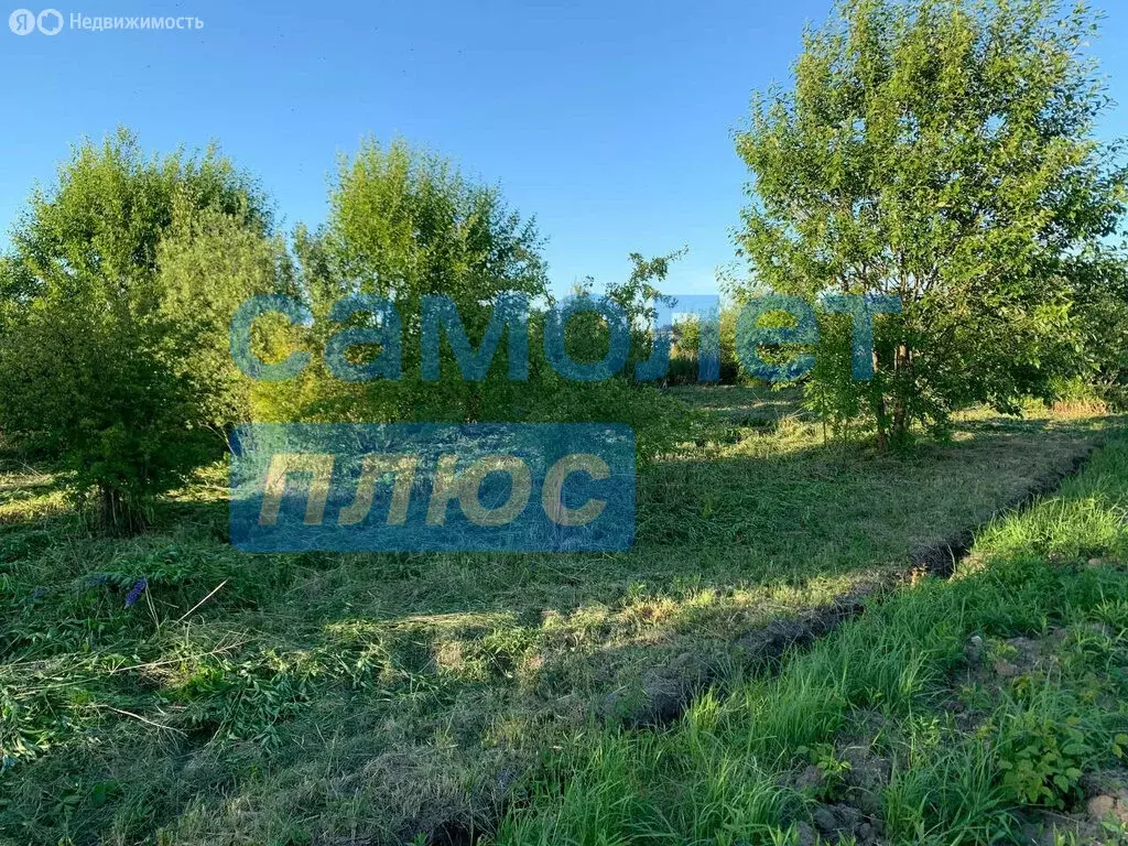 Участок в Калининградская область, Зеленоградский муниципальный округ, ... - Фото 1