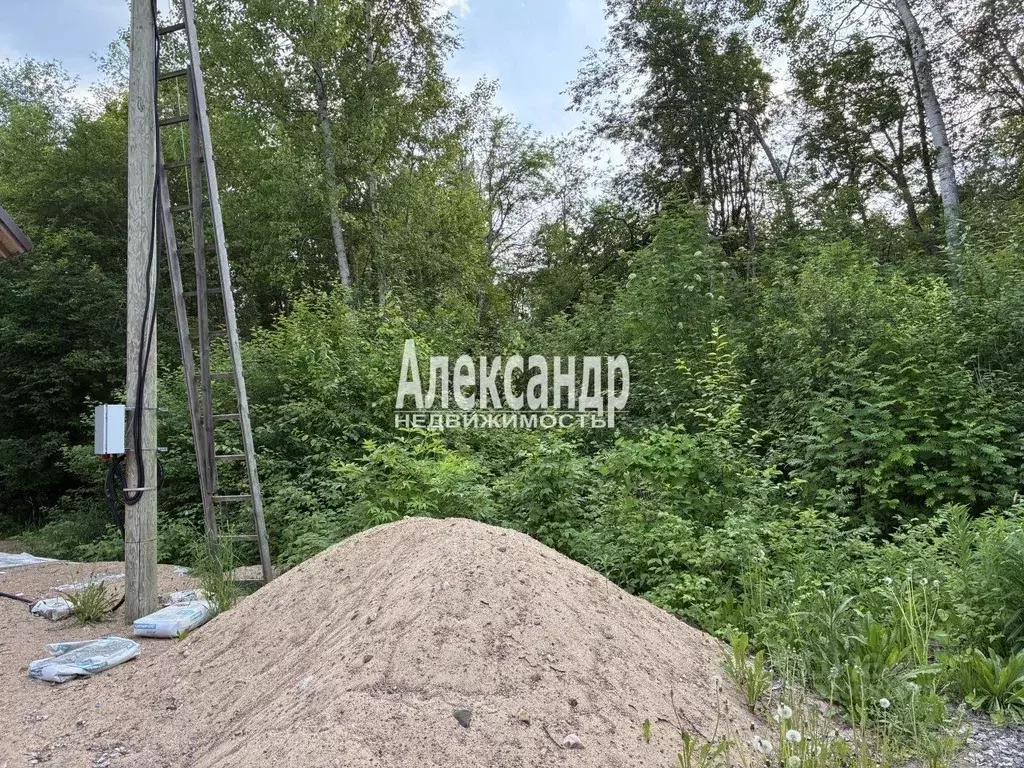 Участок в Ленинградская область, Приозерский район, Ромашкинское ... - Фото 2