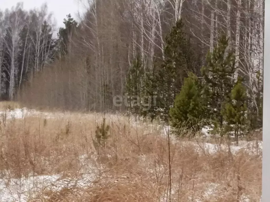 Участок в Свердловская область, Верхнее Дуброво пгт ул. Гагарина, 16 ... - Фото 0