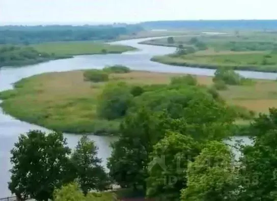 Участок в Калининградская область, Полесск  (96.0 сот.) - Фото 1