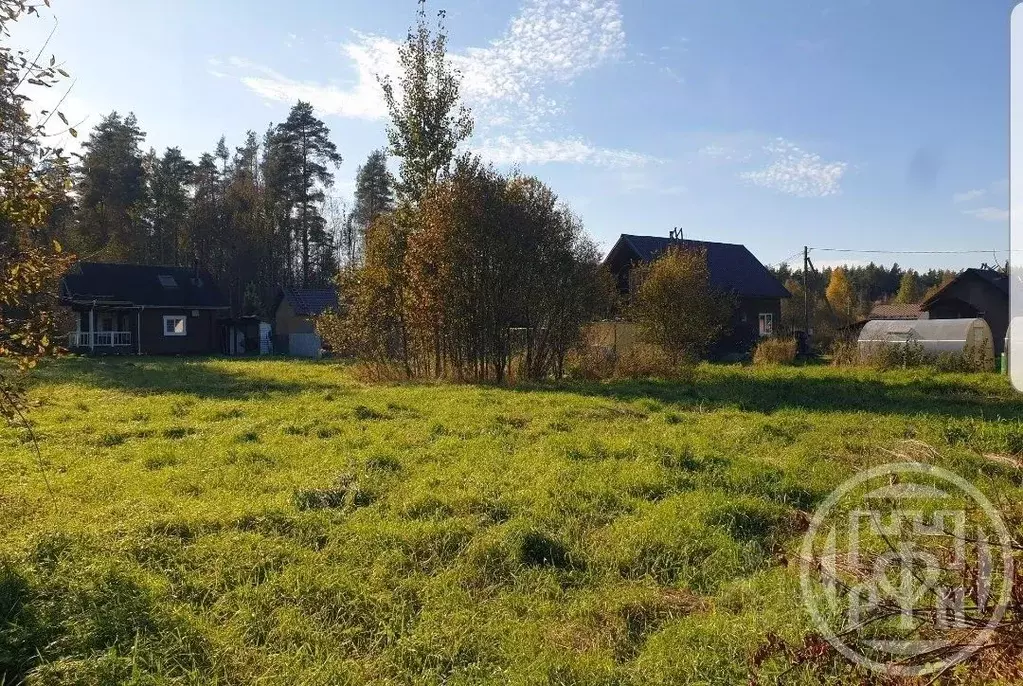 Участок в Ленинградская область, Приозерский район, Раздольевское ... - Фото 1