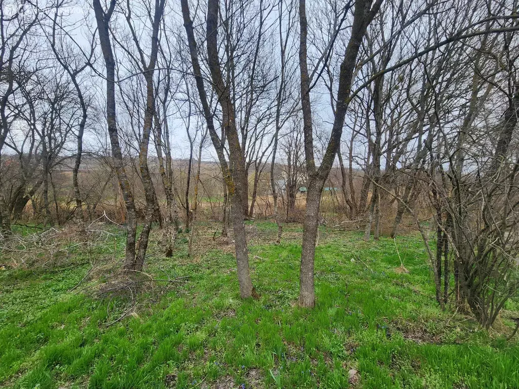 Участок в Ставрополь, садоводческое некоммерческое товарищество Озон, ... - Фото 1